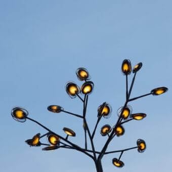 Distinguished Bocci 16 Tree floor lamp with slender metal and translucent glass elements diffusing warm light for indoor or outdoor use