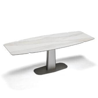 Elongated surface with mottled white and gray tones rests on a dark oval pedestal with a metallic column