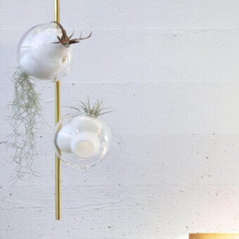 Exceptional Bocci 38V Stem ceiling lamp with slender stem, clear glass enclosures and satin brass finish