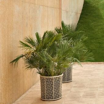 Emma Planter