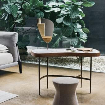 Venus Vanity