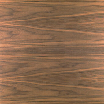 Canaletto walnut wood texture with warm brown tones, displaying prominent flowing veining and a smooth, glossy polished finish.