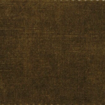 N81