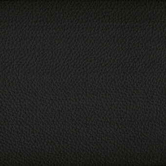 P53-Black