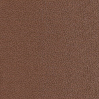P61-Brown
