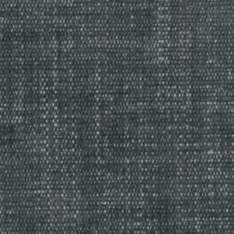 Taiga - 4837