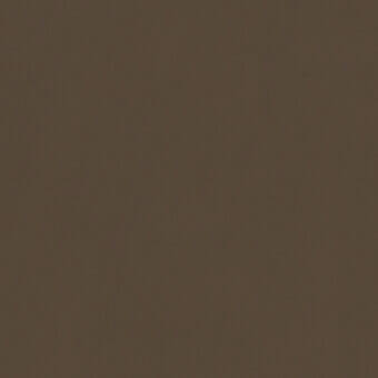 Muted brown color field, uniform surface, even lighting, with “42 fango” text at the lower right, resembling a paint or fabric sample.