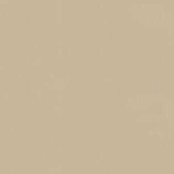 Light beige color swatch, matte finish, soft gradient, uniform surface, studio shot, neutral tone, consistent background, color sample.