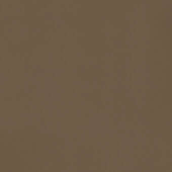Solid color field in 50 tortora, a medium brown hue with a matte finish and even lighting, presenting a uniform, tonally consistent composition.