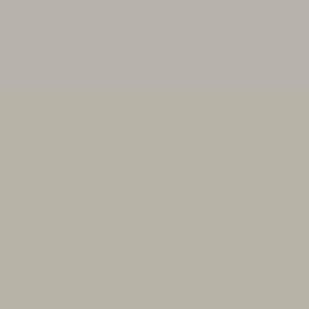 Neutral ral silk grey 7044 color field, matte finish, even lighting, uniform tone, simple composition, swatch presentation.