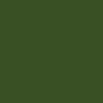 Dark olive green monochromatic composition, uniform matte color, simple visual structure with no discernible texture or tonal variations present.