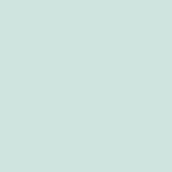 Pale green digital background displays a uniform, flat color field with no texture or tonal variation, presenting a consistent, solid hue throughout the composition.