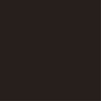 Dark brown solid rectangle, flat monochromatic color field, deep saturated tone resembling dark chocolate, studio shot or digital graphic.