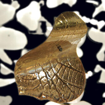 Amber glass sculpture with asymmetrical leaf shape, featuring 24k gold engraved detailing, set against a black and white backdrop.