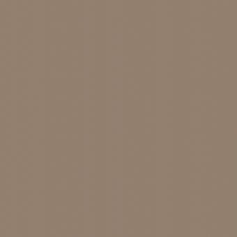 Tortora color swatch, matte finish, uniform warm tone, diffused lighting, simple composition, consistent surface, neutral background, solid color.