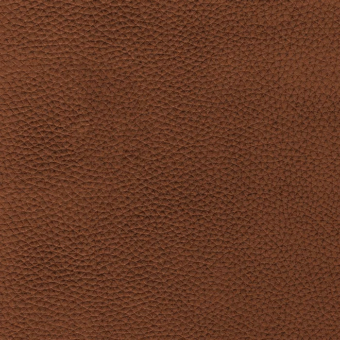 Brown leather texture with a dense, repeating granular pattern and matte finish, evenly lit in a studio setting.
