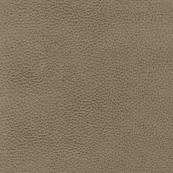 Light taupe textured surface with a repeating, irregular pattern resembling pebbled leather, featuring a uniform matte finish and even lighting.