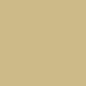 Muted beige monochromatic field, warm tan tone, matte surface, simple composition, uniform color, no texture, neutral background, solid color.