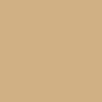 Muted beige monochromatic field, matte surface, uniform color, simple composition, neutral tone, light sand hue, taupe background, solid color.