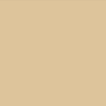 Beige monochromatic composition, warm sandy tone with subtle saturation variations, matte finish, uniform surface, simple backdrop.