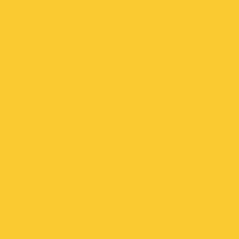 Warm yellow color field, matte finish, minimalist composition, uniform tone, flat surface, simple backdrop, saturated hue, no texture visible.