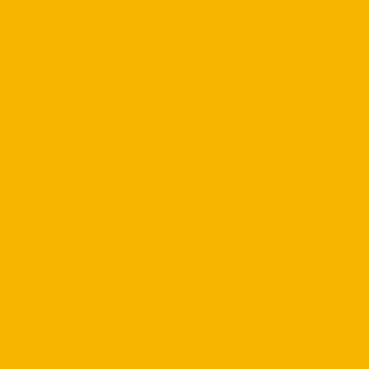 Golden yellow solid color background, uniform saturation, even lighting, flat composition, no texture or patterns, diffused tone, pure hue.