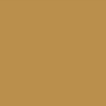 Warm brown solid color background, matte finish, even lighting, consistent surface, neutral tone, digital graphic, no texture or pattern visible.