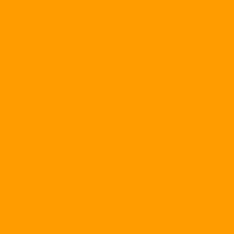 Saturated orange field, matte finish, uniform color, even lighting, flat composition, consistent tone, no texture, diffused illumination, solid background.