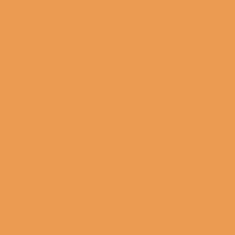 Terracotta color field, matte finish, monochromatic backdrop with uniform tone and no texture, simple composition, warm neutral palette.