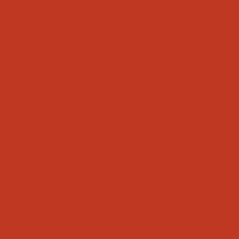 Terracotta red color field, uniform flat surface, even lighting, neutral tone, consistent hue, shadowless presentation, solid color background.