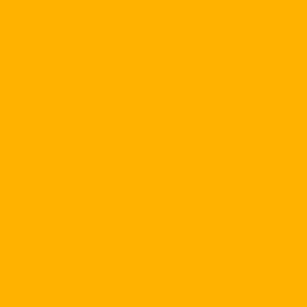 Saturated orange field, flat matte color, minimalist composition, uniform tone, warm hue, simple backdrop, no texture, solid color presentation.