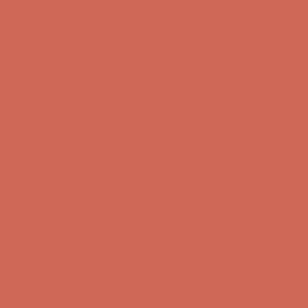 Terracotta color field, matte finish, uniform tone, solid background, consistent saturation, simple composition, full frame, neutral palette.