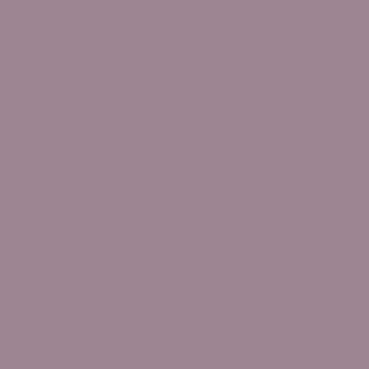 Mauve solid color background, matte finish, uniform tone, consistent surface, even lighting, no texture, neutral composition, flat visual structure.
