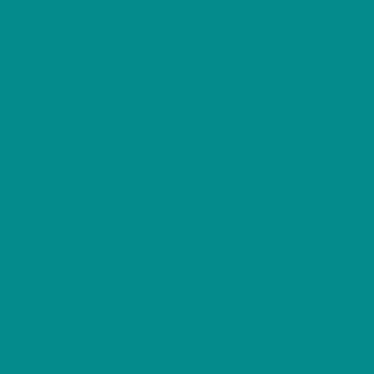 Solid teal background with a uniform, matte finish and consistent saturation, presenting a smooth, color-blocked composition without texture or branding.