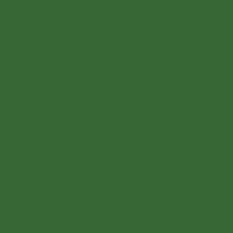 Dark green monochromatic field with a matte finish and uniform tone, presenting a simple, solid color composition without texture or design elements.