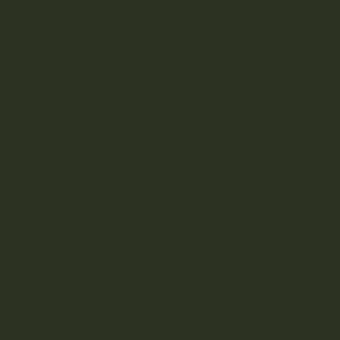Solid olive-green background with a smooth, matte texture and uniform tone, presenting a monochromatic and seamless visual composition.