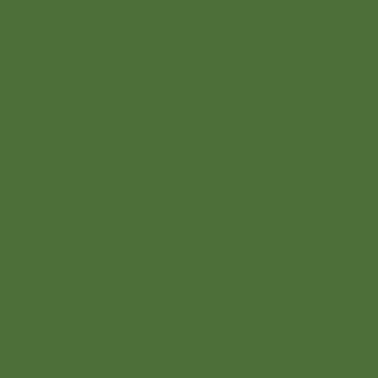 Monochromatic dark olive green background with a matte finish, presenting a uniform color field and simple, uncluttered visual structure.