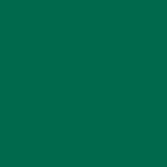 Deep teal green color field, uniform saturated tone, even lighting, flat composition, no texture, neutral backdrop, consistent color throughout frame.