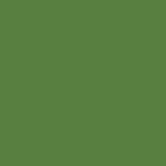 Olive green monochromatic background with a matte finish and uniform color distribution, presenting a simple, solid visual field.