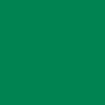 Emerald green color field, uniform saturated tone, flat composition, even lighting, abstract color swatch, no texture or discernible pattern.