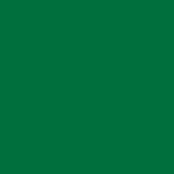 Deep forest green solid color background, uniform saturated tone, even lighting, flat composition, digital graphic, no texture or branding visible.