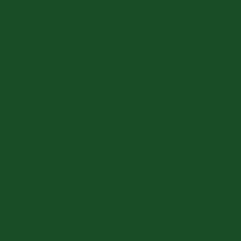 Dark green monochromatic field with uniform color and consistent tone, presenting a simple, solid composition lacking texture or design elements.