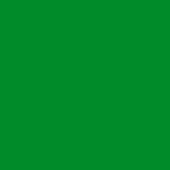 Solid green color field, uniform saturated tone, even lighting, flat surface, no texture, consistent hue, diffused illumination, pure color composition.