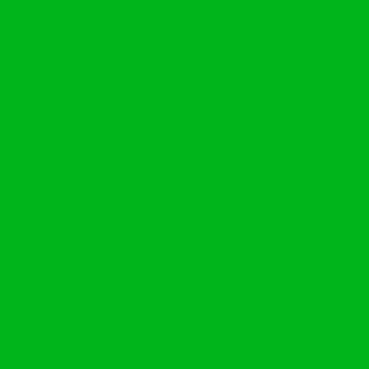 Saturated green field, uniform medium tone, even lighting, flat consistent color, digital backdrop, no texture or variation, solid color surface.