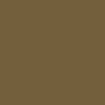 Monochromatic brown field with a matte finish, presenting a uniform, earthy tone and simple visual structure throughout the composition.