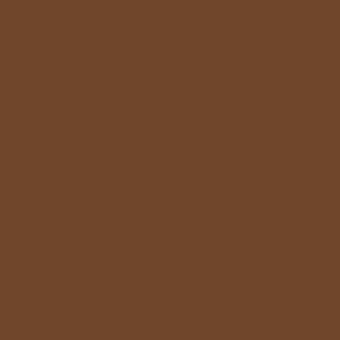 Warm brown color field, matte finish, consistent flat surface, neutral tone, no texture or pattern, uniform composition, solid background.