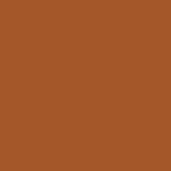 Warm brown matte color field, uniform tone, flat visual plane, consistent earthy hue, no texture or pattern, simple background composition.