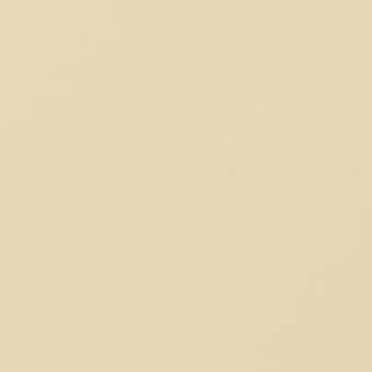 Muted beige laccato opaco surface, flat matte texture, consistent neutral tone, uniform color, dune x162 shade, solid backdrop.