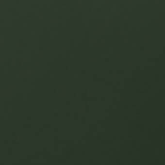 Muted green color plane, “laccato opaco verde inglese x164”, matte finish, uniform surface, diffuse lighting, flat continuous tone.