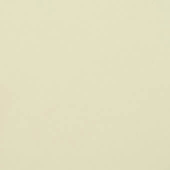 Pale ivory textured surface, granular matte finish, uniform color, diffuse lighting, material sample, neutral background, subtle tonal variation.